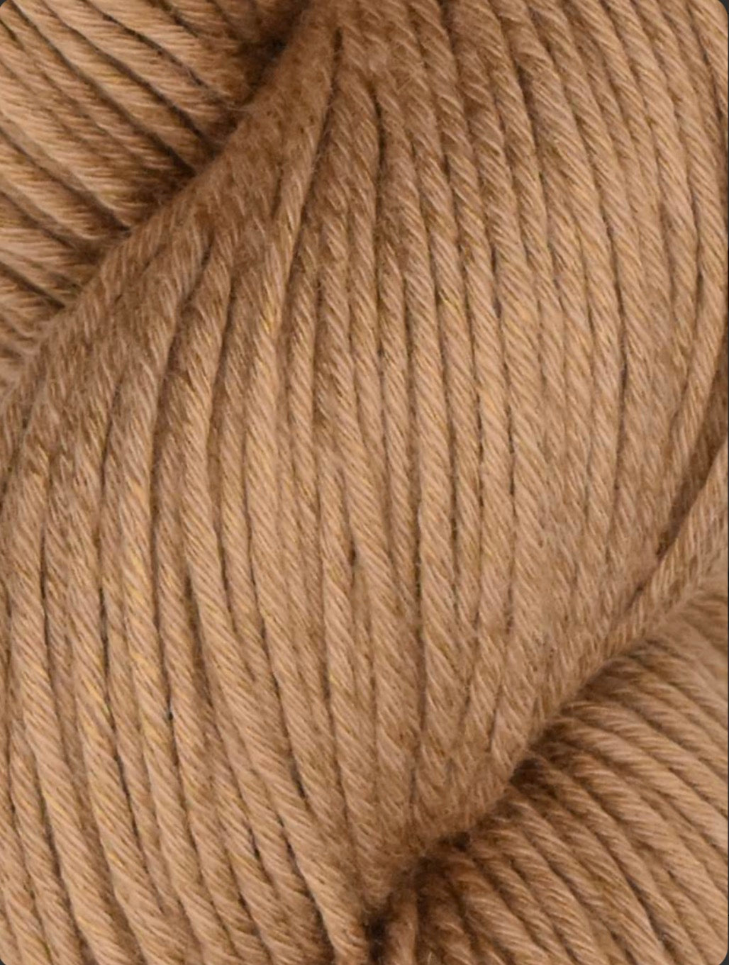 Alga