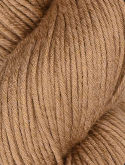 Alga