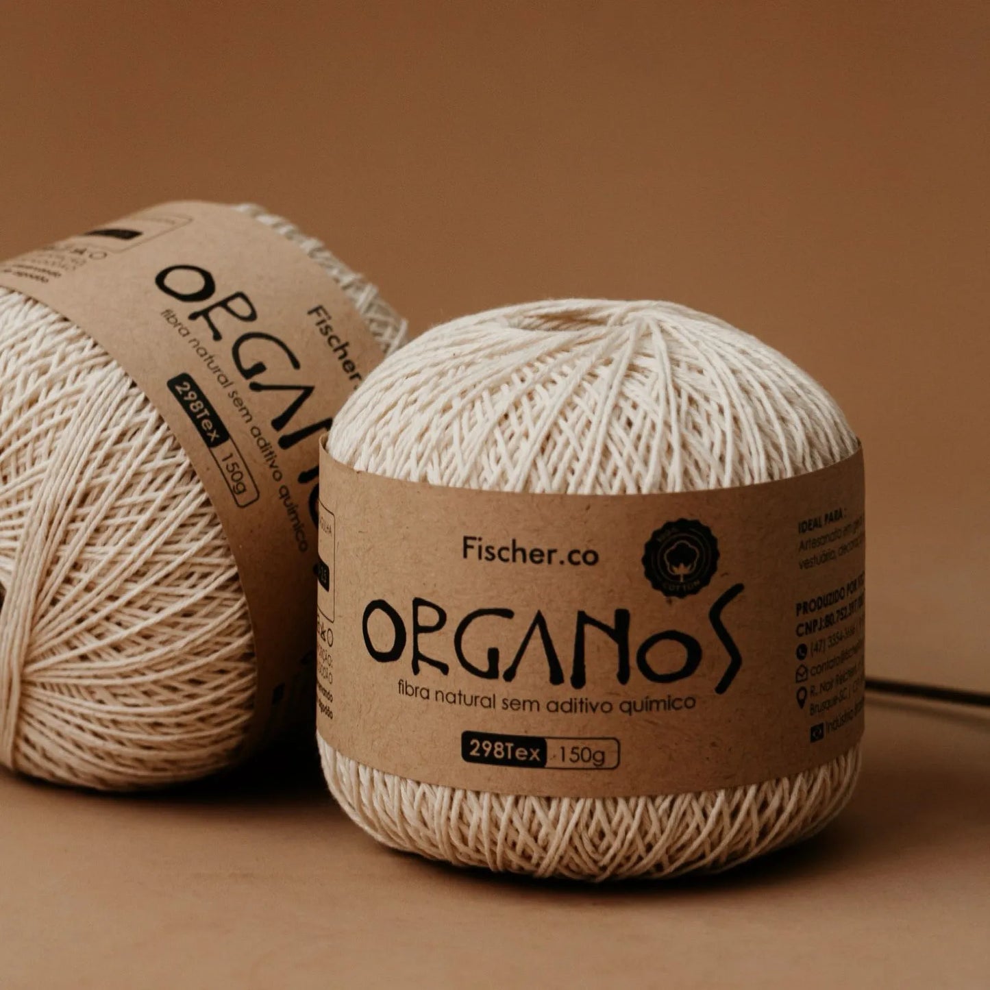 Fischer Organos